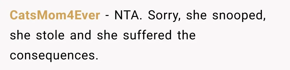 CatsMom4Ever − NTA. Sorry, she snooped, she stole and she suffered the consequences.