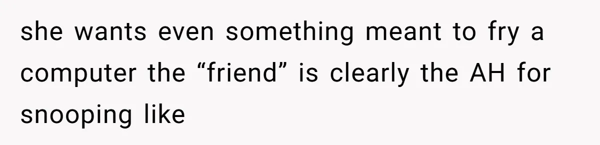 she wants even something meant to fry a computer the “friend” is clearly the AH for snooping like
