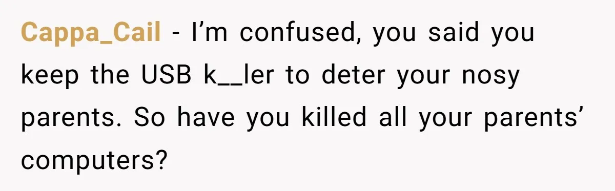 Cappa_Cail − I’m confused, you said you keep the USB k__ler to deter your nosy parents. So have you killed all your parents’ computers?