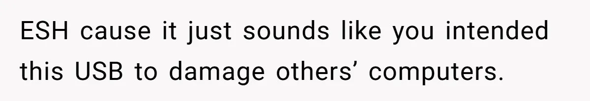 ESH cause it just sounds like you intended this USB to damage others’ computers.