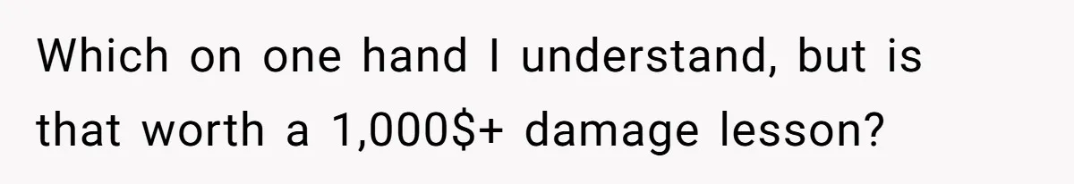 Which on one hand I understand, but is that worth a 1,000$+ damage lesson?