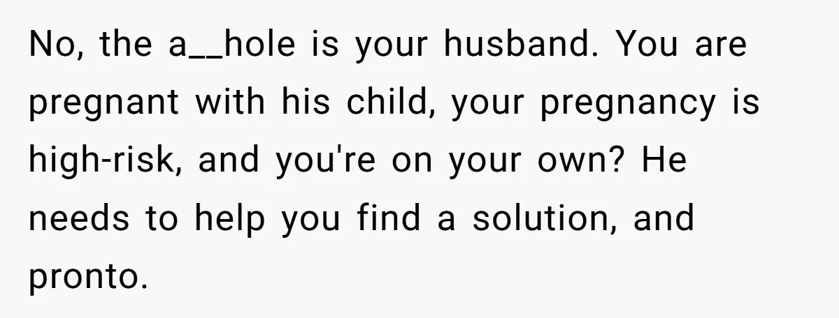 No, the a__hole is your husband. You are pregnant with his child, your pregnancy is high-risk, and you're on your own? He needs to help you find a solution, and...