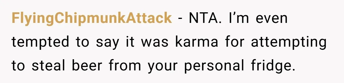 FlyingChipmunkAttack − NTA. I’m even tempted to say it was karma for attempting to steal beer from your personal fridge.