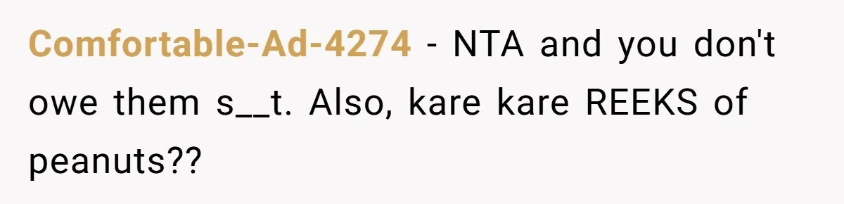 Comfortable-Ad-4274 − NTA and you don't owe them s__t. Also, kare kare REEKS of peanuts??