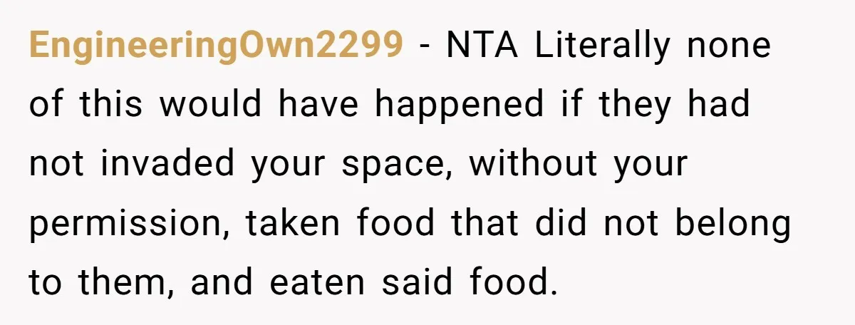 EngineeringOwn2299 − NTA Literally none of this would have happened if they had not invaded your space, without your permission, taken food that did not belong to them, and eaten...