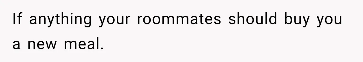 If anything your roommates should buy you a new meal.