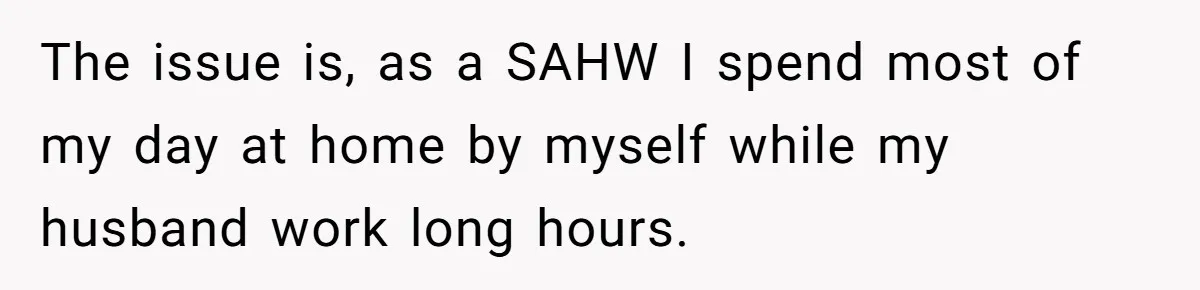 The issue is, as a SAHW I spend most of my day at home by myself while my husband work long hours.