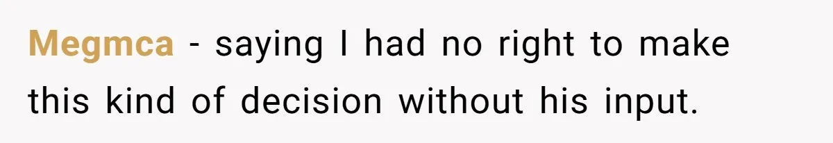 Megmca − saying I had no right to make this kind of decision without his input.