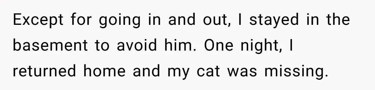 Except for going in and out, I stayed in the basement to avoid him. One night, I returned home and my cat was missing.