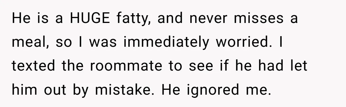 He is a HUGE fatty, and never misses a meal, so I was immediately worried. I texted the roommate to see if he had let him out by mistake. He...