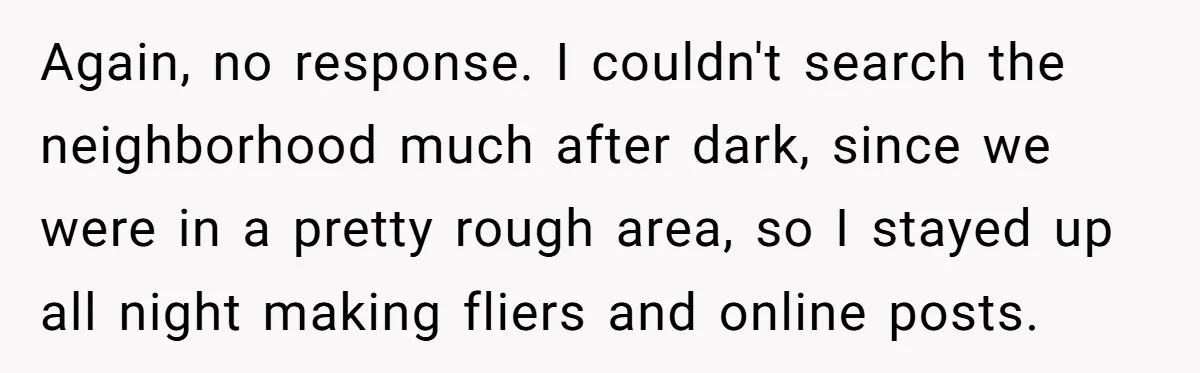 Again, no response. I couldn't search the neighborhood much after dark, since we were in a pretty rough area, so I stayed up all night making fliers and online posts.