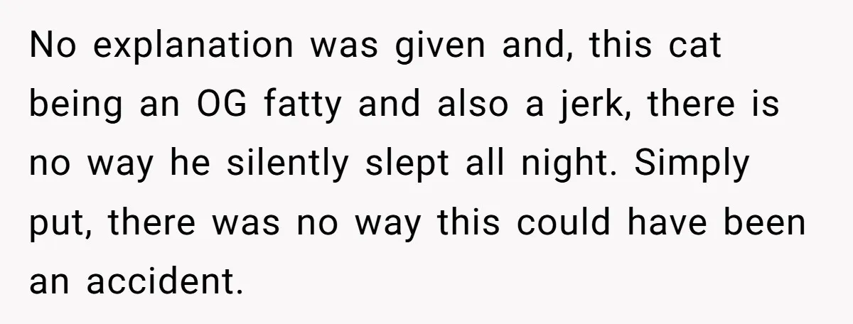 No explanation was given and, this cat being an OG fatty and also a jerk, there is no way he silently slept all night. Simply put, there was no way...