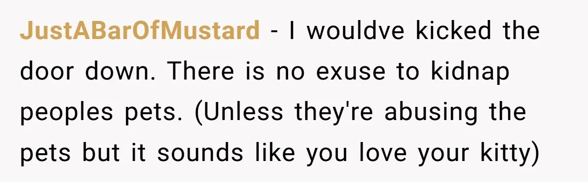 JustABarOfMustard − I wouldve kicked the door down. There is no exuse to kidnap peoples pets. (Unless they're abusing the pets but it sounds like you love your kitty)