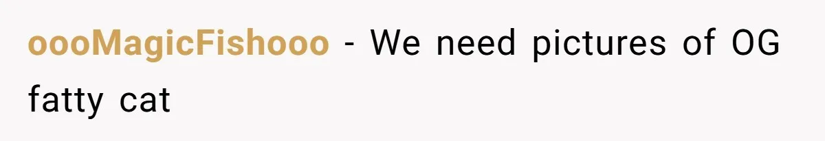 oooMagicFishooo − We need pictures of OG fatty cat