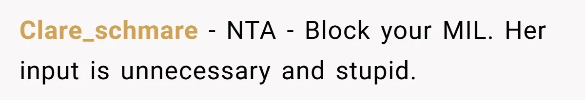 Clare_schmare − NTA - Block your MIL. Her input is unnecessary and stupid.