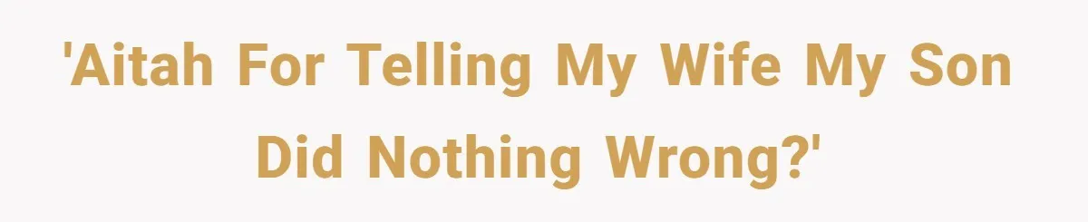 'AITAH for telling my wife my son did nothing wrong?'