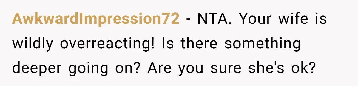 AwkwardImpression72 − NTA. Your wife is wildly overreacting! Is there something deeper going on? Are you sure she's ok?