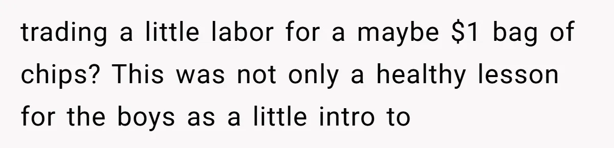 trading a little labor for a maybe $1 bag of chips? This was not only a healthy lesson for the boys as a little intro to