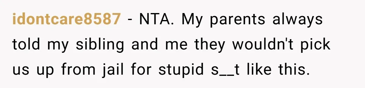 idontcare8587 − NTA. My parents always told my sibling and me they wouldn't pick us up from jail for stupid s__t like this.