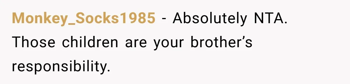 Monkey_Socks1985 − Absolutely NTA. Those children are your brother’s responsibility.