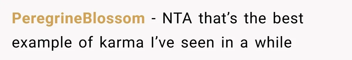 PeregrineBlossom − NTA that’s the best example of karma I’ve seen in a while