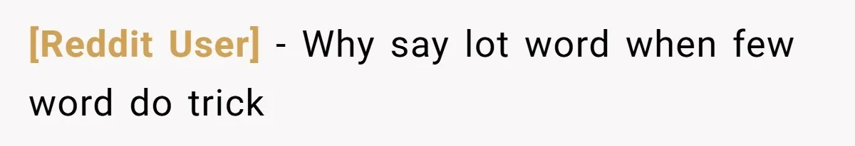 [Reddit User] − Why say lot word when few word do trick