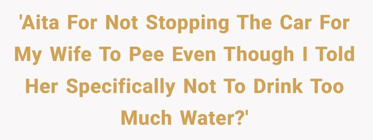 'AITA for not stopping the car for my wife to pee even though I told her specifically not to drink too much water?'