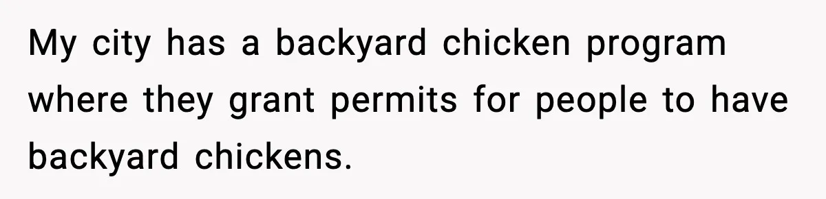 My city has a backyard chicken program where they grant permits for people to have backyard chickens.