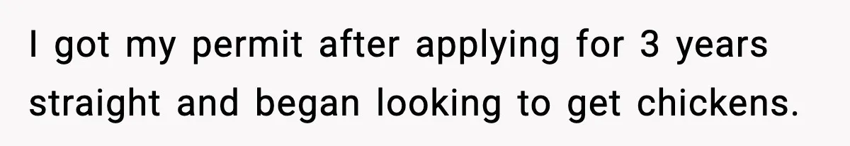 I got my permit after applying for 3 years straight and began looking to get chickens.