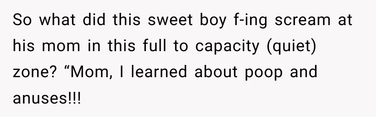 So what did this sweet boy f-ing scream at his mom in this full to capacity (quiet) zone? “Mom, I learned about poop and anuses!!!