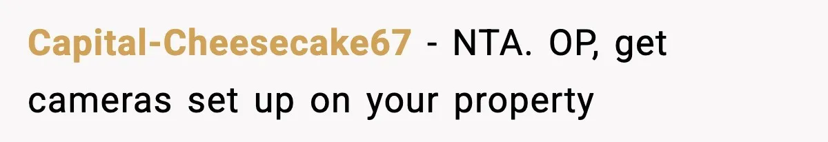 Capital-Cheesecake67 − NTA. OP, get cameras set up on your property