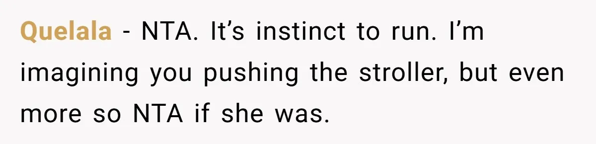 Quelala − NTA. It’s instinct to run. I’m imagining you pushing the stroller, but even more so NTA if she was.