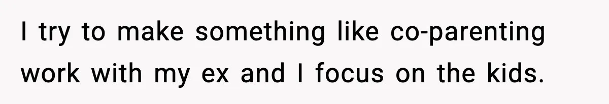 I try to make something like co-parenting work with my ex and I focus on the kids.