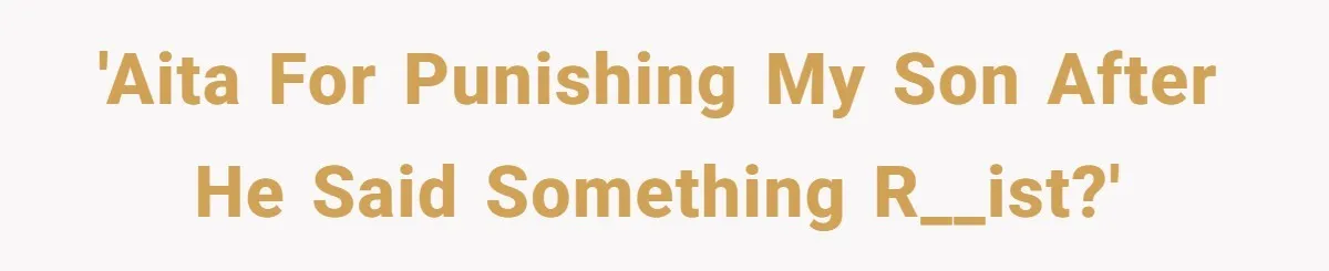 'AITA for punishing my son after he said something r__ist?'