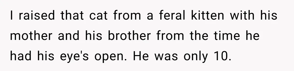 I raised that cat from a feral kitten with his mother and his brother from the time he had his eye's open. He was only 10.