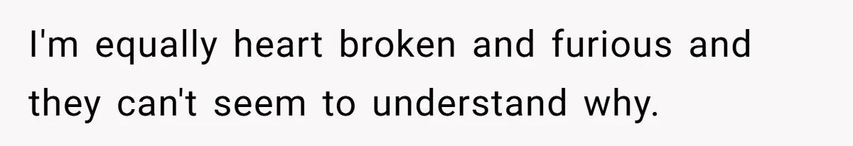 I'm equally heart broken and furious and they can't seem to understand why.