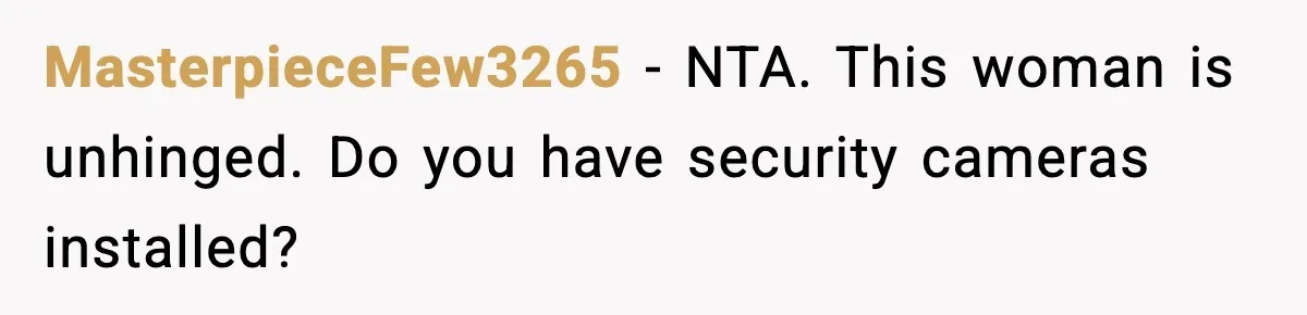 MasterpieceFew3265 − NTA. This woman is unhinged. Do you have security cameras installed?