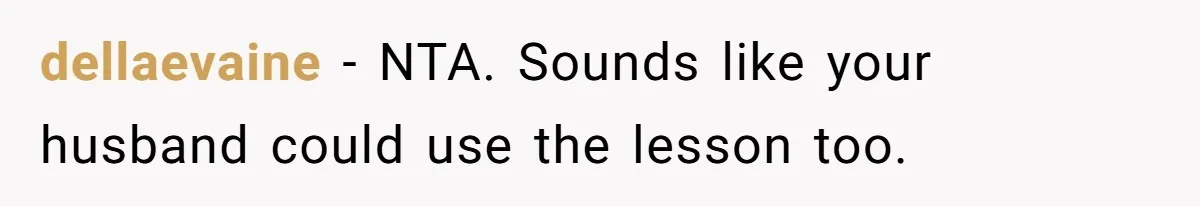 dellaevaine − NTA. Sounds like your husband could use the lesson too.