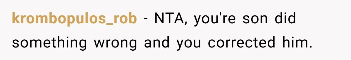 krombopulos_rob − NTA, you're son did something wrong and you corrected him.