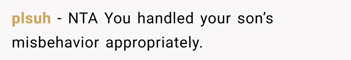 plsuh − NTA You handled your son’s misbehavior appropriately.