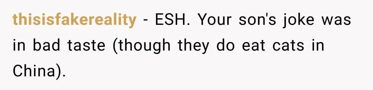 thisisfakereality − ESH. Your son's joke was in bad taste (though they do eat cats in China).