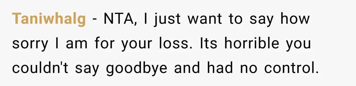 Taniwhalg − NTA, I just want to say how sorry I am for your loss. Its horrible you couldn't say goodbye and had no control.