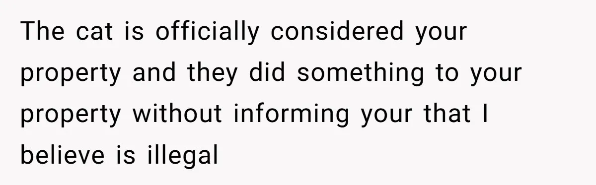 The cat is officially considered your property and they did something to your property without informing your that I believe is illegal
