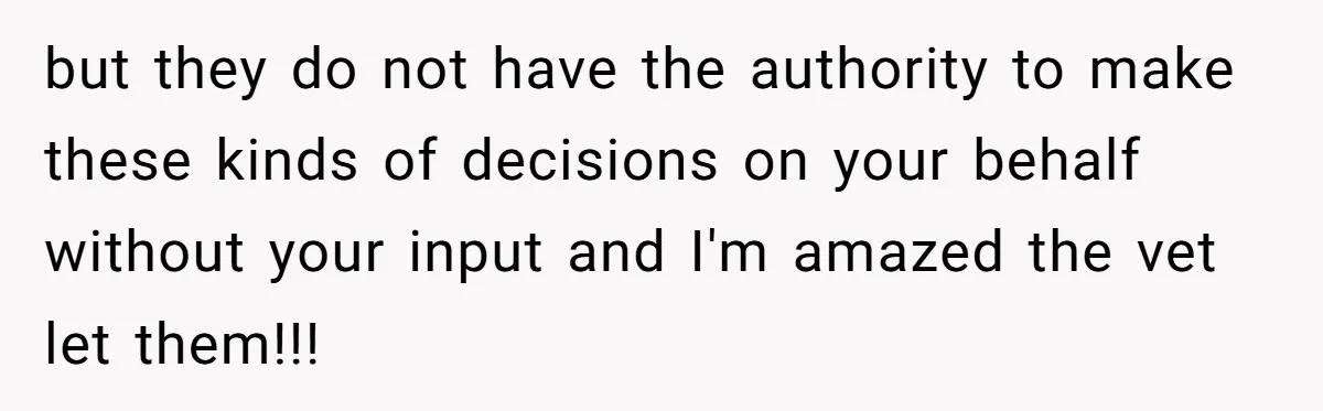but they do not have the authority to make these kinds of decisions on your behalf without your input and I'm amazed the vet let them!!!