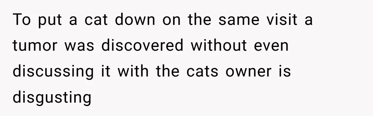 To put a cat down on the same visit a tumor was discovered without even discussing it with the cats owner is disgusting