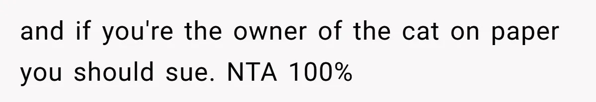 and if you're the owner of the cat on paper you should sue. NTA 100%