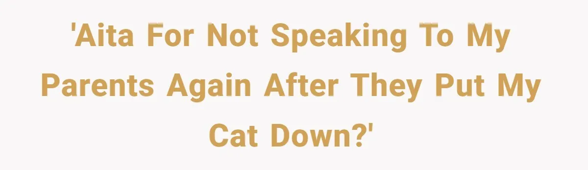 'AITA for not speaking to my parents again after they put my cat down?'
