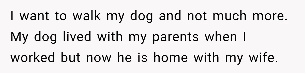 I want to walk my dog and not much more. My dog lived with my parents when I worked but now he is home with my wife.