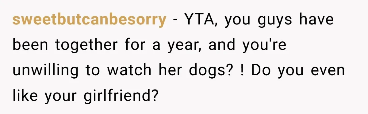sweetbutcanbesorry − YTA, you guys have been together for a year, and you're unwilling to watch her dogs? ! Do you even like your girlfriend?