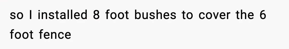 so I installed 8 foot bushes to cover the 6 foot fence